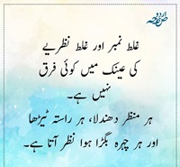 غلط نمبر اور غلط نظریہ میں کوئی فرق نہیں - سب دھندلا ٹیڑھا اور بگڑا نظر اتا ہے